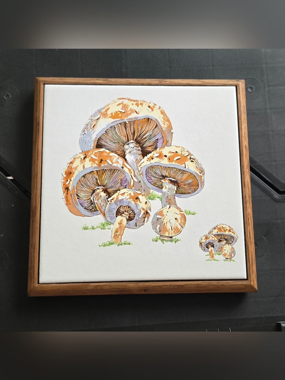 Vintage Mushroom Fungi Ceramic Tile